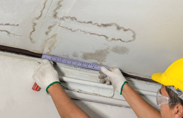 Reliable Burst Pipe Cleanup contractor in Renault, IL by Water Damage Irwin